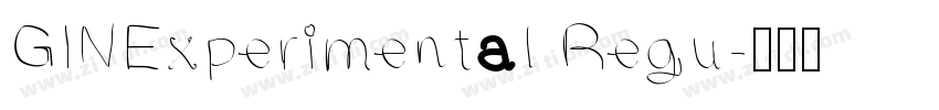 GINExperimental Regu字体转换
